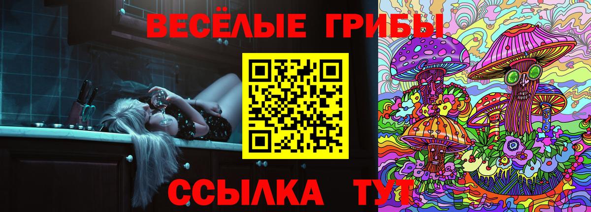 Галлюциногенные грибы мухоморы Коммунар