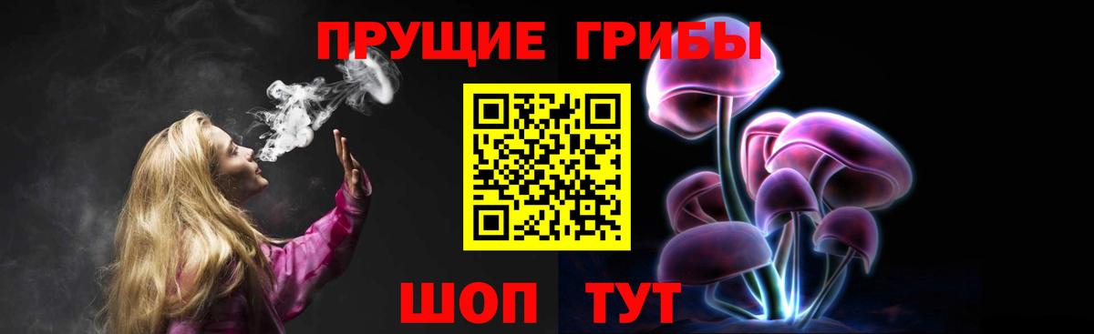 Коммунар  Галлюциногенные грибы GOLDEN TEACHER  Вход с VPN  Псилоцибиновые грибы Psilocybe 